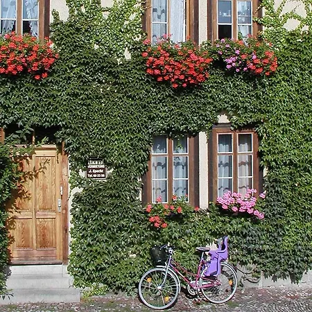 Apartment Johanna Specht